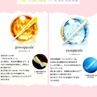 画像1033