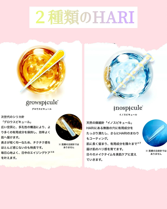 画像1033