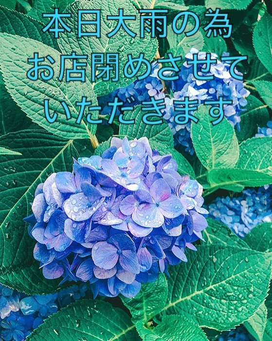 画像317