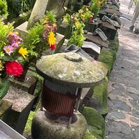 画像324