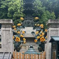 画像325