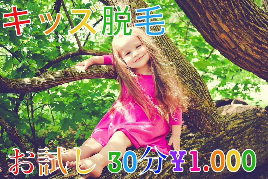 画像337